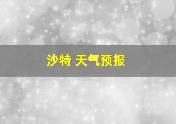 沙特 天气预报